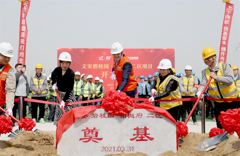 2021年3月31日，由北京集团承建的碧桂园·铂樾府二区工程正式开工，携手建设单位、监理单位一同在项目部举行了隆重的奠基仪式。